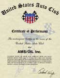 1980 Indy 500 Certificate: Dick Ferguson